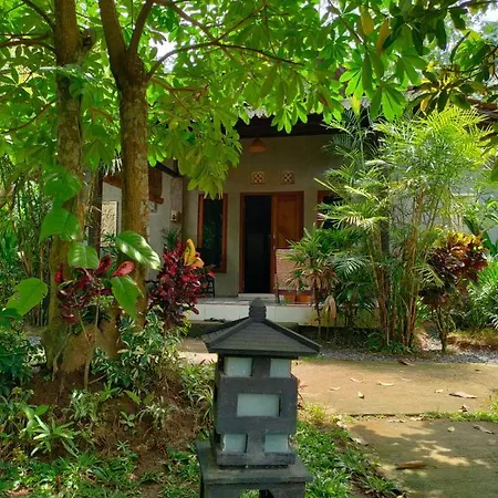 Java Turtle Lodge Meru Betiri Banyuwangi  Exterior photo