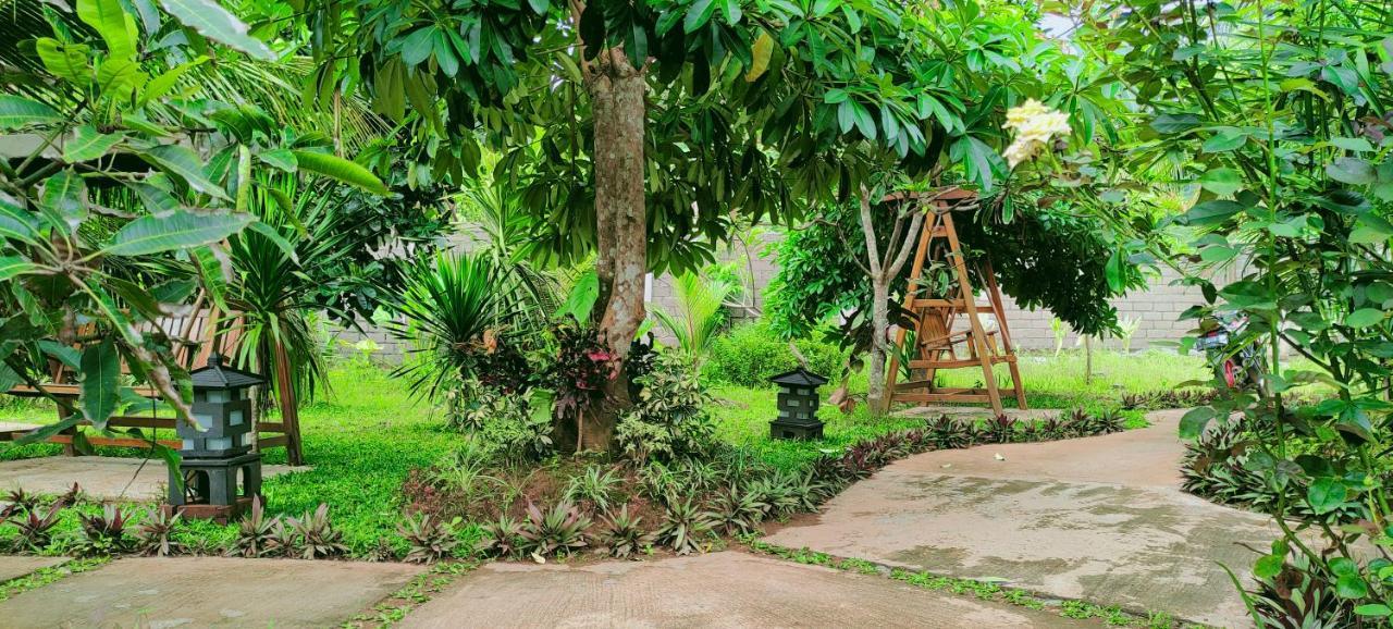 Turtle Meru Betiri Homestay Banyuwangi (East Java)