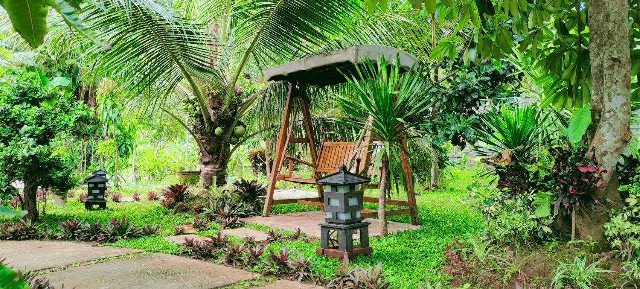 Homestay Turtle Meru Betiri