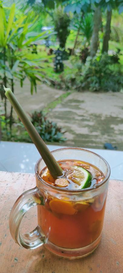 Homestay Turtle Meru Betiri
