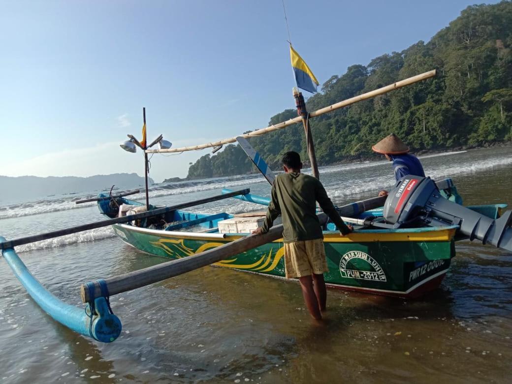 Turtle Meru Betiri Homestay