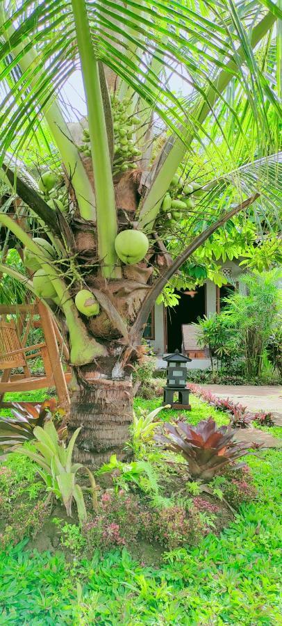 Turtle Meru Betiri Accommodatie bij particulieren Banyuwangi (East Java)