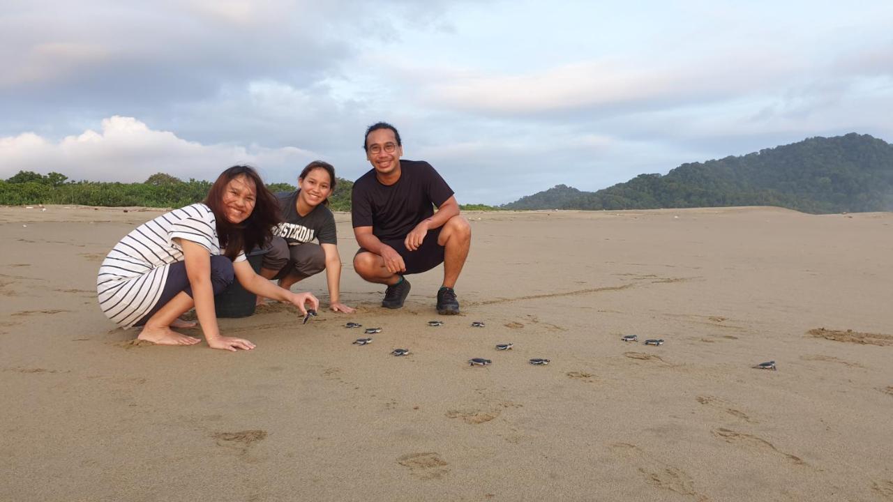 Turtle Meru Betiri Homestay Banyuwangi (East Java)