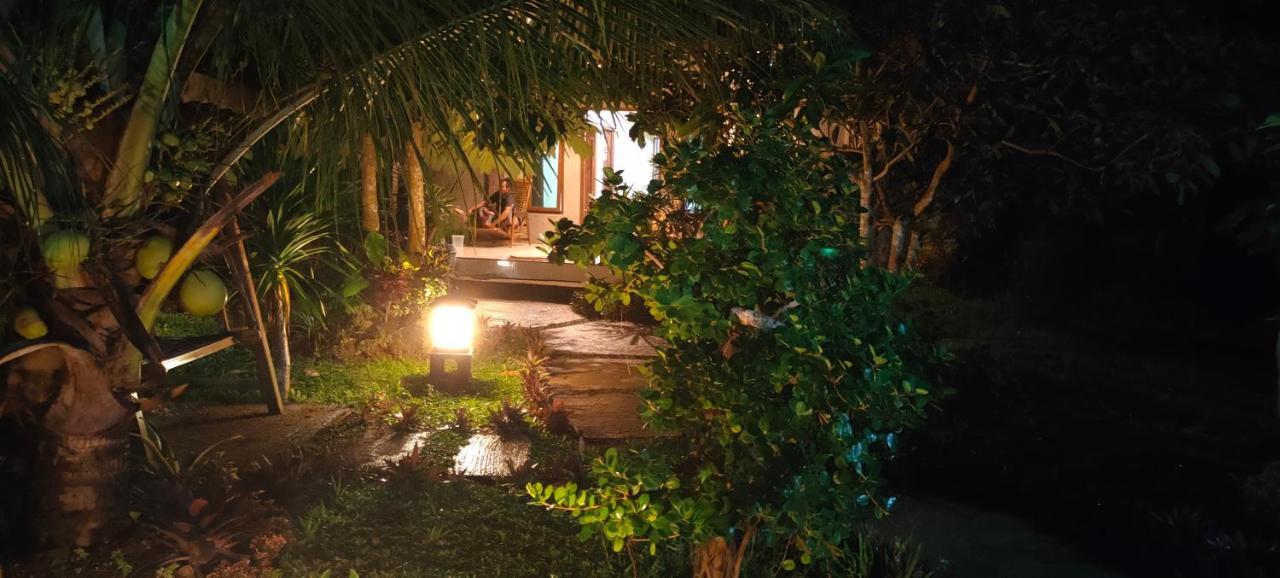 Turtle Meru Betiri Accommodatie bij particulieren Banyuwangi (East Java)