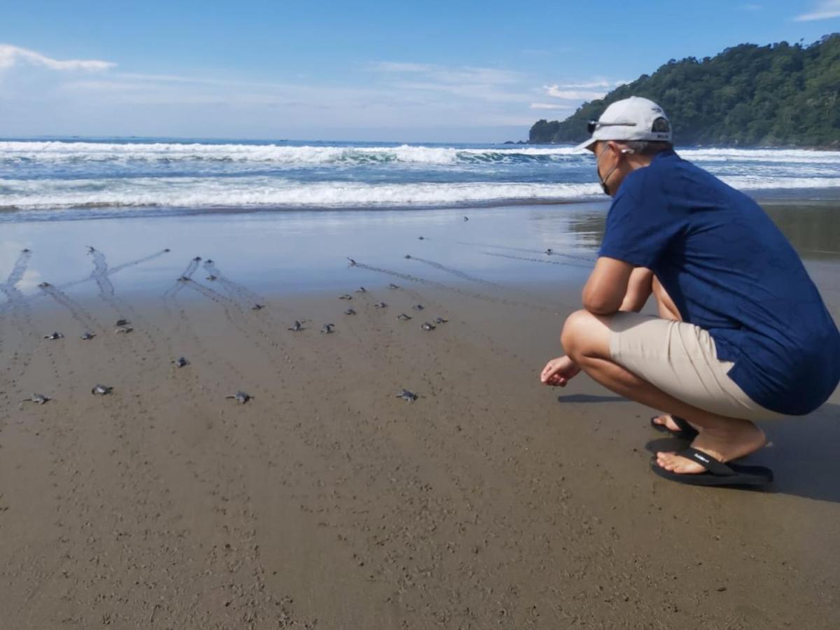 Turtle Meru Betiri