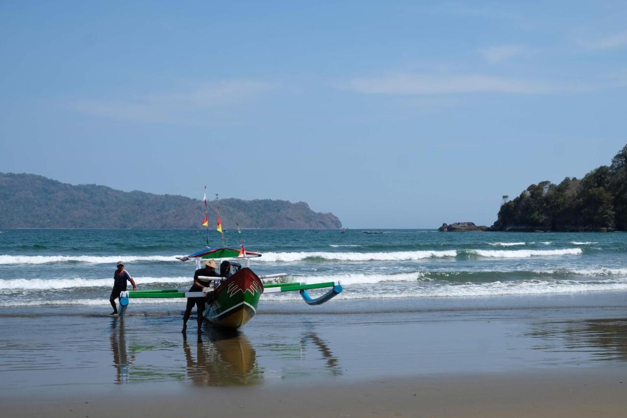 Homestay Turtle Meru Betiri Banyuwangi (East Java)