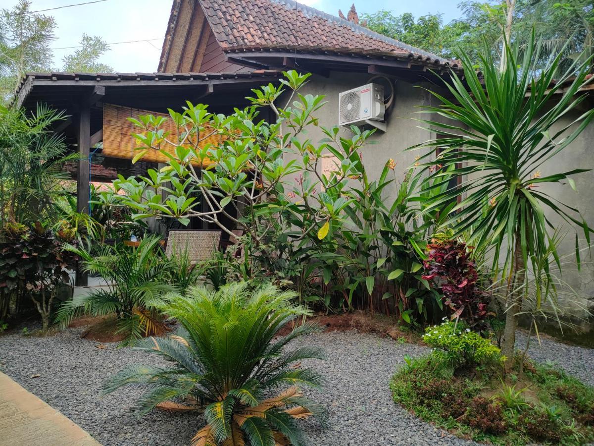 Homestay Turtle Meru Betiri Banyuwangi (East Java)