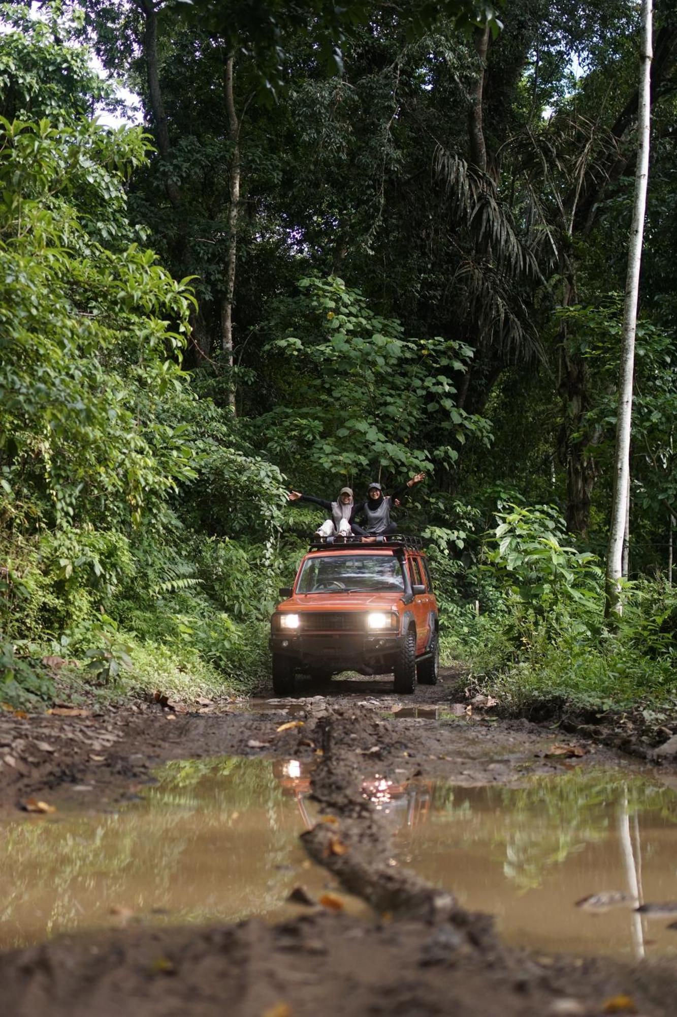 Turtle Meru Betiri *