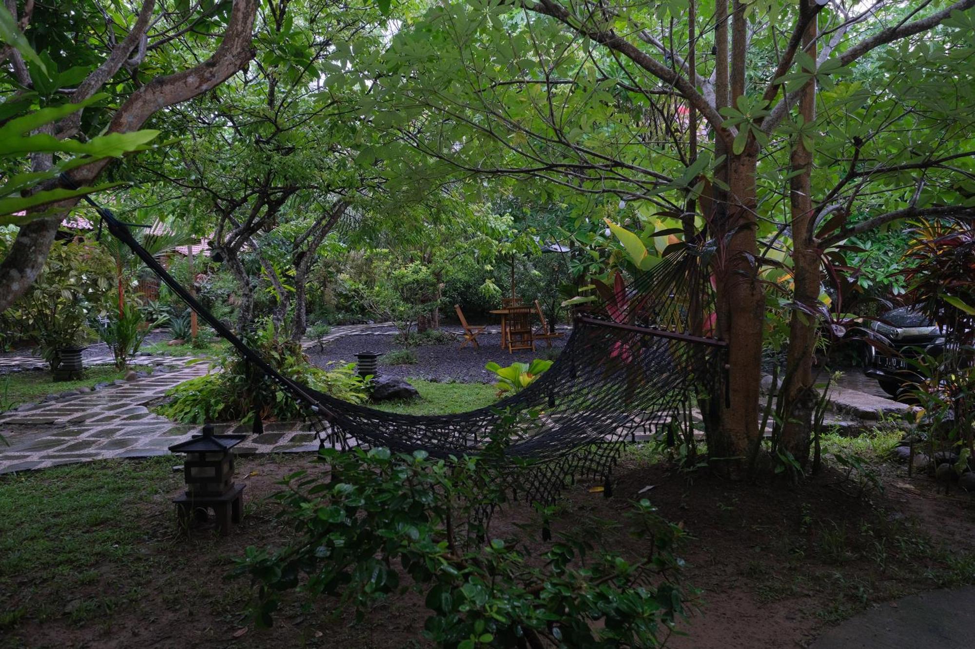Homestay Turtle Meru Betiri *