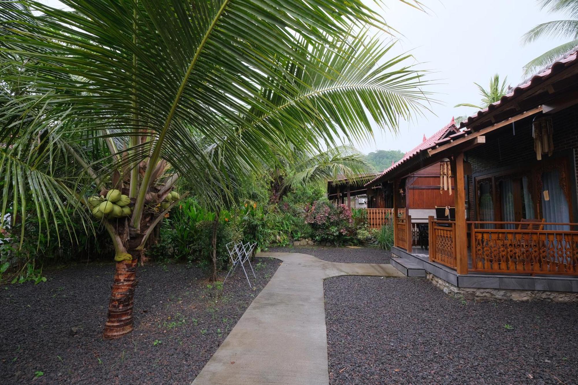 Homestay Turtle Meru Betiri