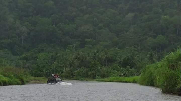 Turtle Meru Betiri Banyuwangi (East Java)