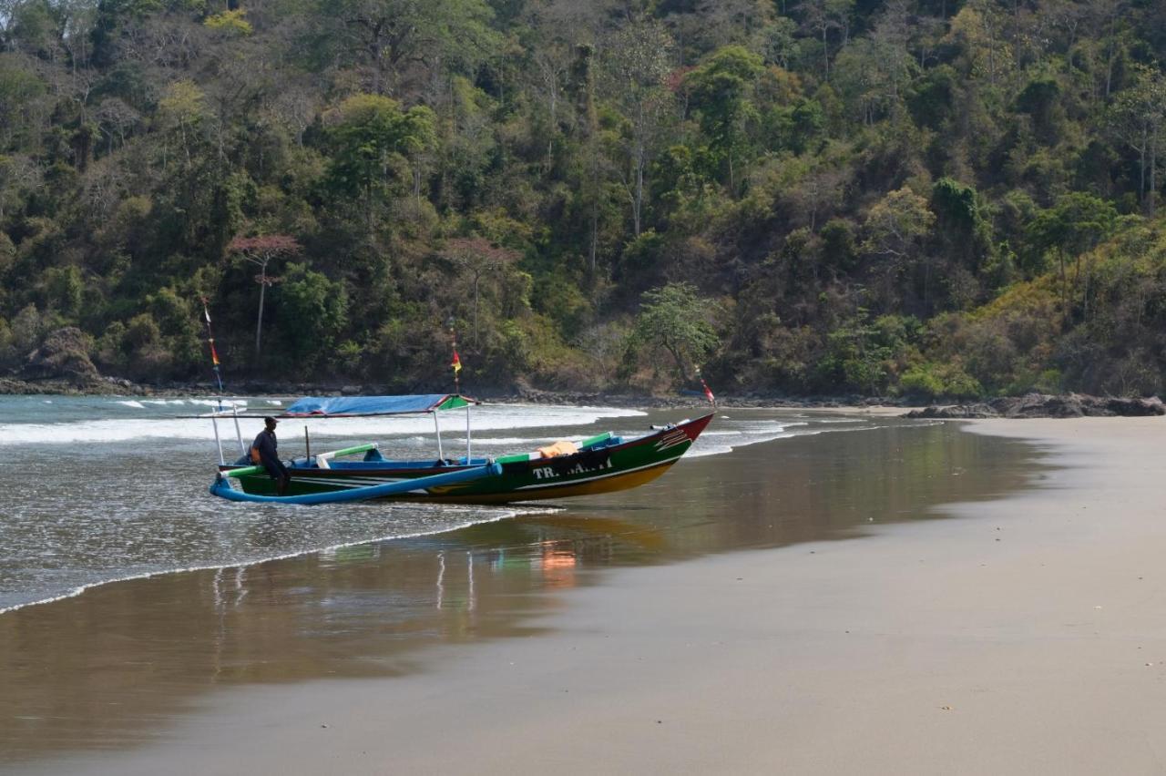 Homestay Turtle Meru Betiri Banyuwangi (East Java)