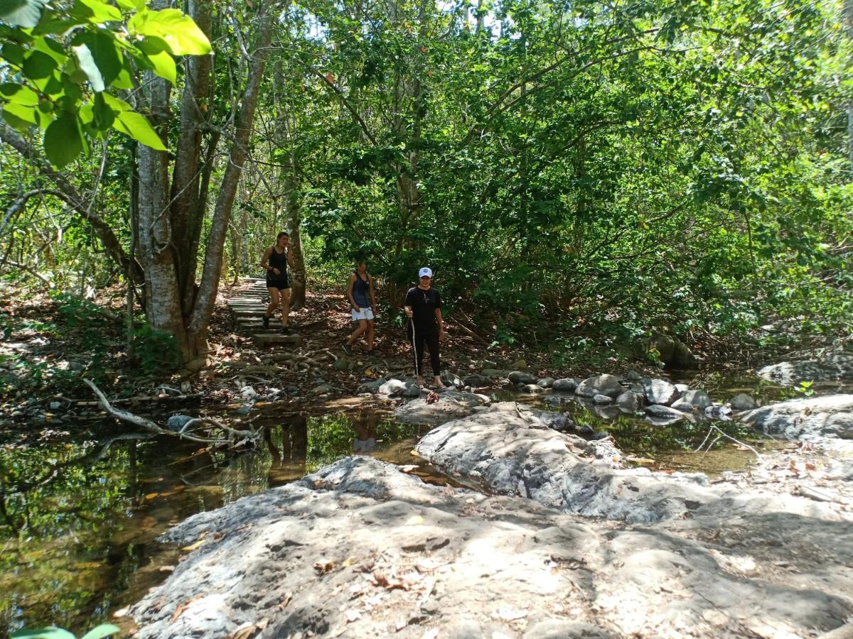 Turtle Meru Betiri Homestay
